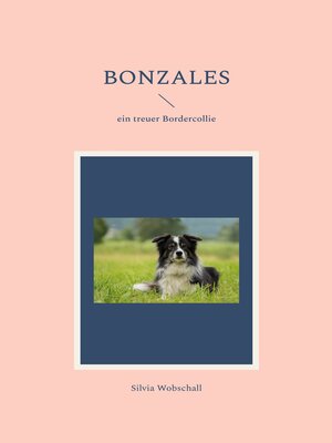 cover image of Bonzales